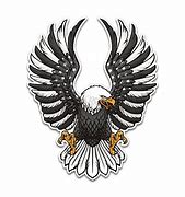 Image result for American Eagle USA Flag