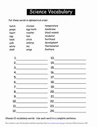 Image result for Preschool Science Worksheets