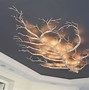 Image result for Branch Ceiling Light Fixture