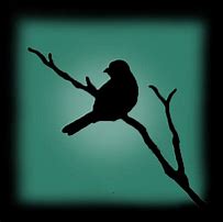 Image result for Bird On a Branch Silohette