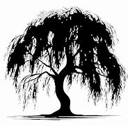 Image result for Willow Tree Silhouette