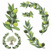 Image result for Olive Branch Vector