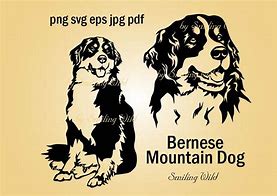 Image result for Bernese Mountain Dog SVG