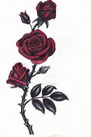 Image result for Rose Stem with Thorns Drawing