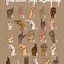 Image result for ASL Alphabet Drawn