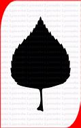 Image result for Birch Leaf Silhouette