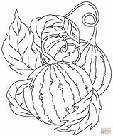 Image result for Watermelon Coloring Page