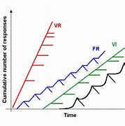 Image result for Fixed Ratio Reinforcement Schedule