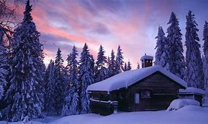 Image result for Modern Cabin in the Woods