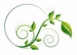 Image result for Vector Leaf Logo.png