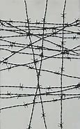 Image result for Barbed Wire Army