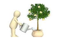 Image result for Water Money Tree Clip Art