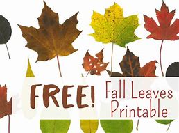 Image result for Free Fall Leaf Printables