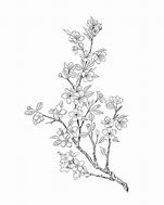 Image result for Pixel Cherry Blossom Tree