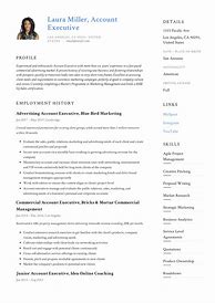 Image result for Account Executive Resume Sample