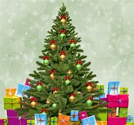 Image result for Rainbow Christmas Tree Lights