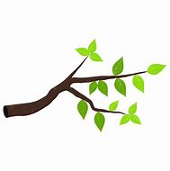 Image result for Tree with Low Middle and High Branch Icon