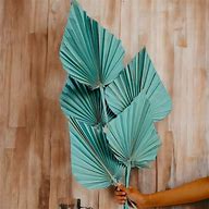 Image result for Dye Palm Spear