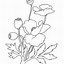 Image result for Poppies Coloring Pages