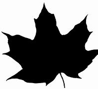 Image result for Coloring Picture of Leaf