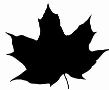 Image result for Leaf Pile Decal