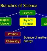 Image result for Branches of Science Activity