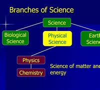 Image result for 5 Branches of Science