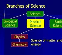 Image result for Branches of Science for Kids