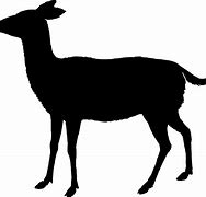 Image result for Standing Deer Silhouette