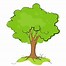 Image result for Tree Branches Cartoon