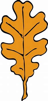 Image result for Oak Leaves Clip Art