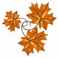 Image result for Orange Outline Maple Leaf Transparent