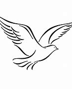 Image result for White Bird Drawing