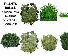 Image result for Plant Alpha Texture