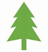 Image result for Pine Tree Sketches