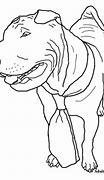 Image result for Real Dog Coloring Pages