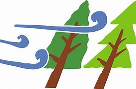 Image result for Windy Tree Wall Decal