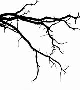 Image result for Tree Branch Vector Art