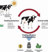 Image result for Animal Husbandry and Management Pics