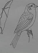 Image result for Weed High Coloring Pages