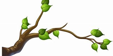 Image result for Vector Tree Branch Coloring