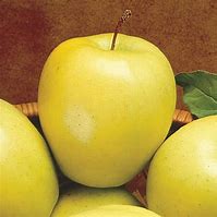 Image result for Nutty Golden Apple