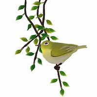 Image result for Birds On Branches