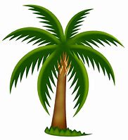 Image result for Palm Tree Branch