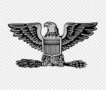 Image result for Us Air Force Colonel Insignia