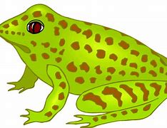 Image result for Speckled Frog Art