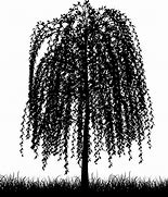 Image result for Weeping Willow Tree Silhouette