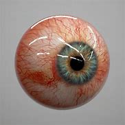 Image result for Realistic Human Eye