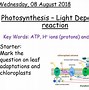 Image result for Light Reaction in Plastid