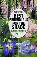 Image result for Best Perennials for Zone 9